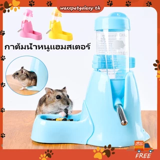 ขวดน้ําหนูแฮมสเตอร์ขนาดเล็กพร้อมขาตั้งและชามอาหาร 80มล 250มล
