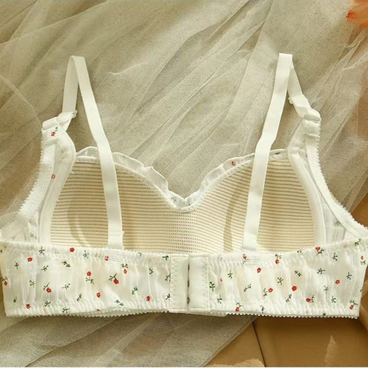 รูปภาพ 5