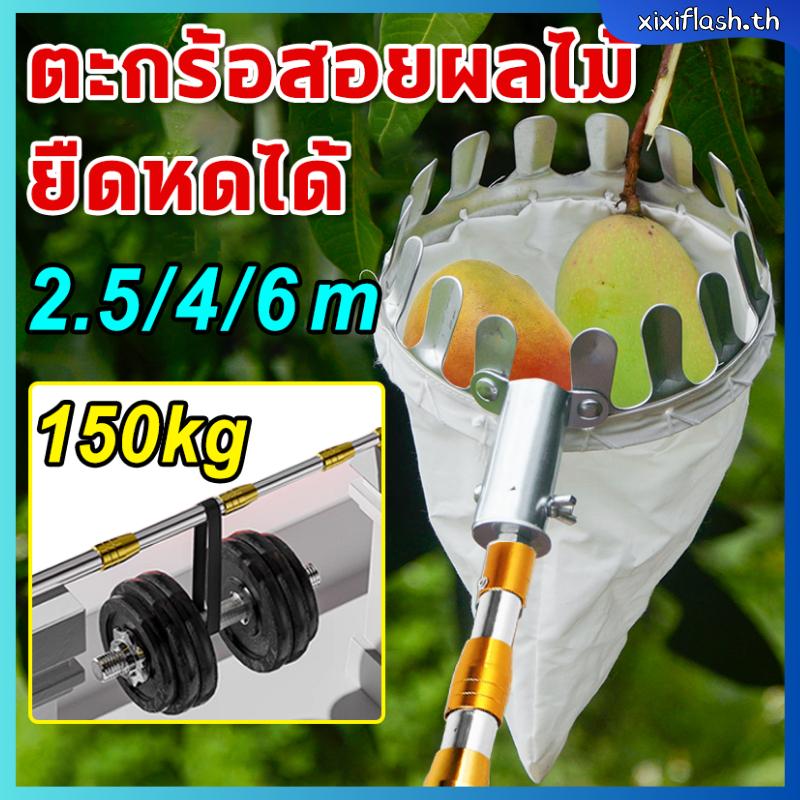 ตะกร้อสอยผลไม้ ไม้สอยมะม่วง 1.5/3/6M ด้ามยืดหดได้ มาพร้อมกับถุงผ้า ไม่ทำร้ายผลไม้ ไม่ต้องปีนต้นไม้ สอยมะม่วง สอยน้อยหน่า สอยฝรั่ง เก็บผลไม้ขนาดใหญ่และขนาดเล็ก ตระกร้อสอยผลไม้ ไม้สอยผลไม้