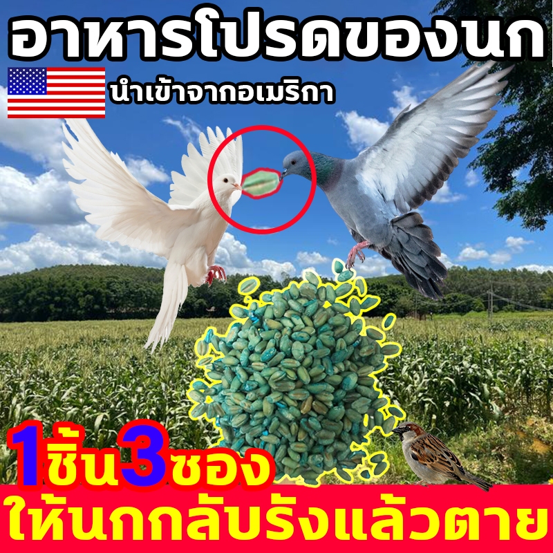 ให้นกกลับรังแล้วตาย ไล่นกพิราบ 1ชิ้น3ซอง 1 แพ็ค 50g อาหารโปรดของนก การบูรไล่นก ก้อนไล่นก ที่ไล่นก ลูกบอลไล่นก กําจัดนก