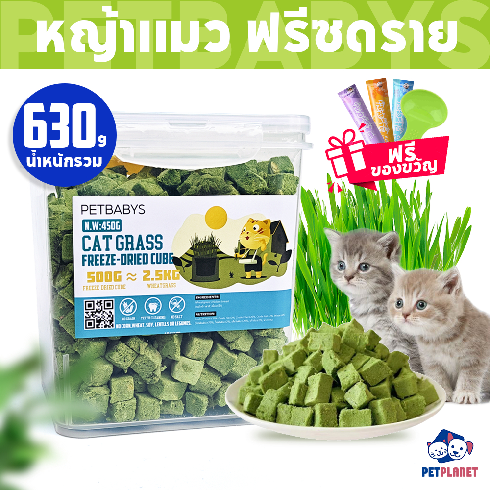 😸ขนมแมว✨2.5L หญ้าแมวฟรีซดราย หญ้าแมวอัดแท่ง แบบไม่ต้องปลูก Freeze Dried หญ้าข้าวสาลี หญ้าลดขนแมว