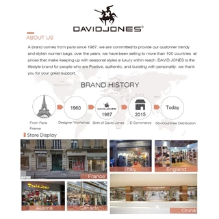 David Jones 2025 Spring Summer New Collection Designer Mini Backpack Shoudler Bag สําหรับผู้หญิง