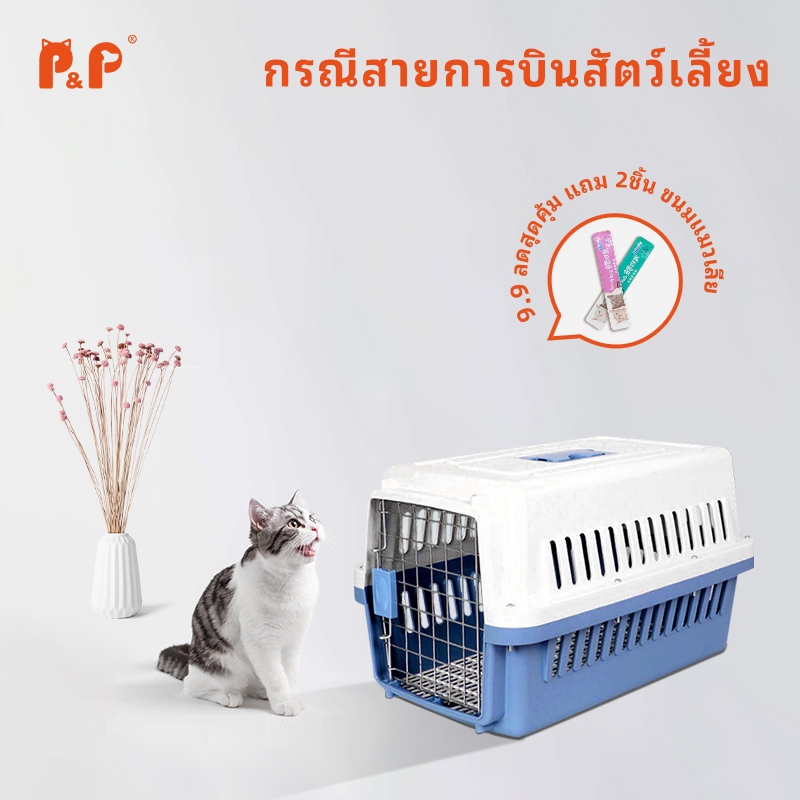 P&P:ตะกร้าแมว กรงพกพา กล่องเดินทางสัตว์เลี้ยง สำหรับสุนัขและแมว ล็อกพกพาง่าย ราคาถูก (ไม่รวมแผ่นฐาน)