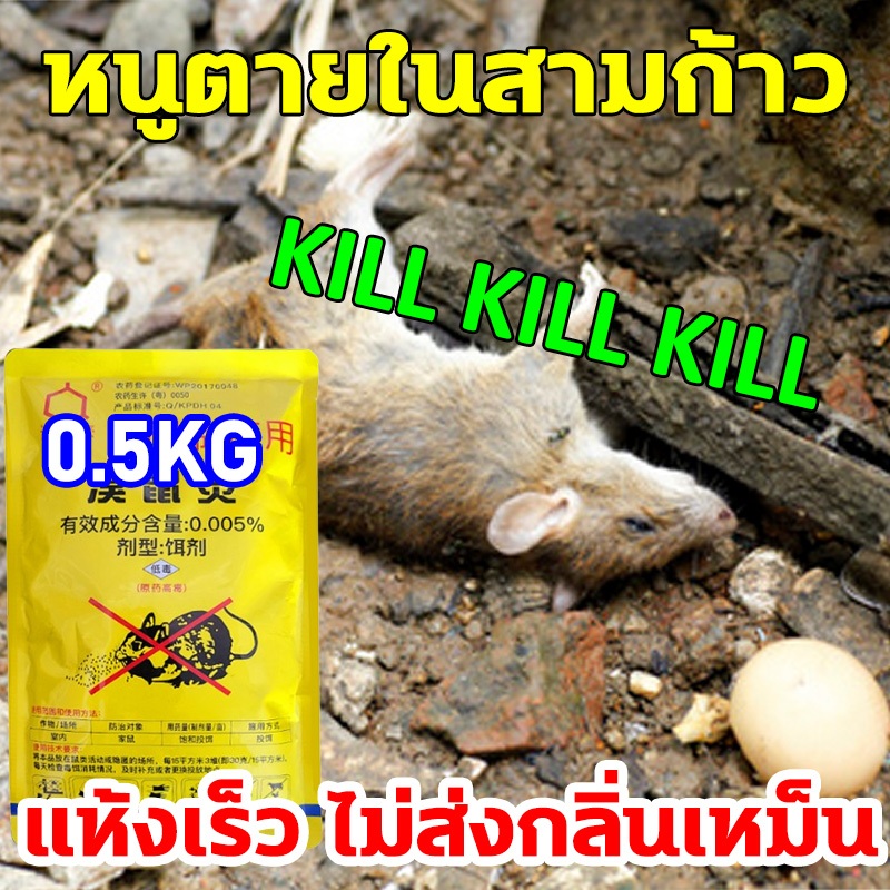เหยื่อกําจัดหนู 500g ไม่เหม็น ตายแห้ง หนูชอบมากกก