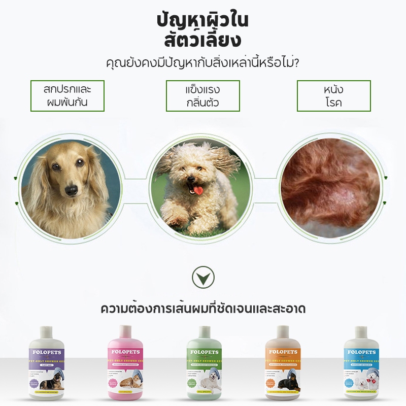 รูปภาพ 3