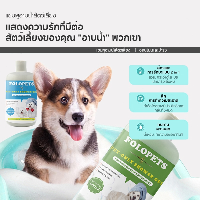 รูปภาพ 7