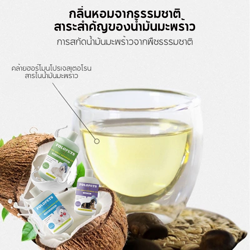 รูปภาพ 6