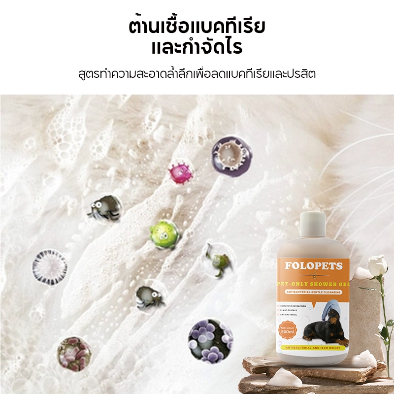 รูปภาพ 8