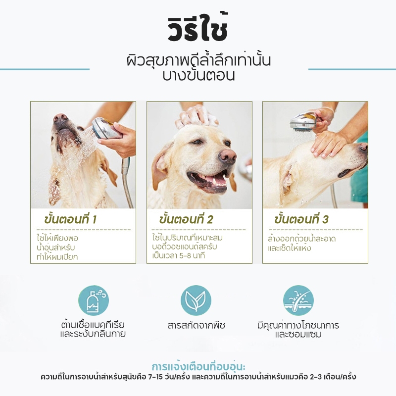 รูปภาพ 9