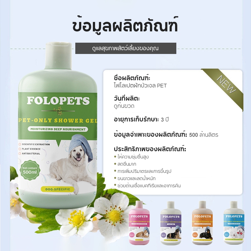 รูปภาพ 2