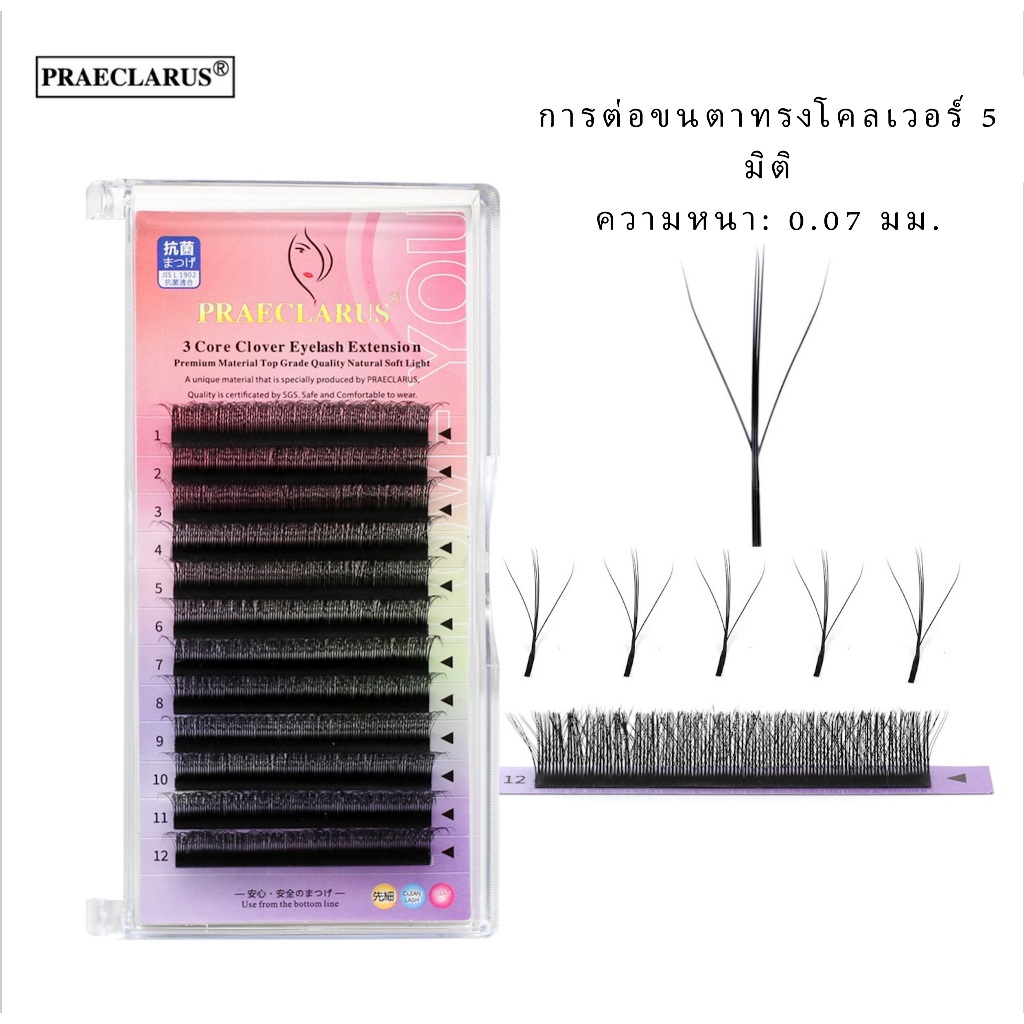 Praeclarus ขนตาปลอมทรง W 3 แกน 5D โคลเวอร์ วัสดุพรีเมี่ยม ทอด้วยมือ ความหนา 0.07 มม. ขนมิงค์ นุ่มธรรมชาติ ขนตาปลอมทรง W 3 แกน ขนตาแฟรี่
