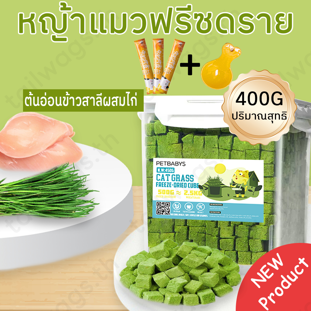 🌿หญ้าแมวฟรีซดราย🐱 หญ้าแมวอัดแท่ง ขนมหญ้าแมว500Gหญ้าแมวอบแห้ง หญ้าแมวพร้อมทาน หญ้าแมวฟรีชดราย