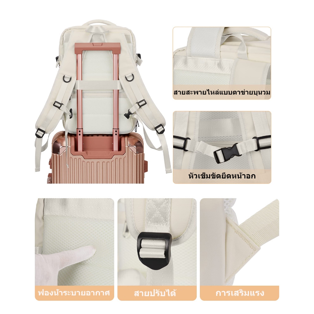 รูปภาพ 6