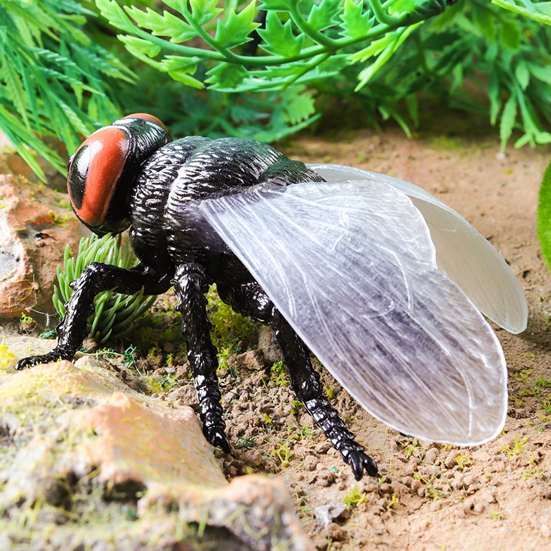 แมลงแมงป่องบินตัวต่อ monarch ผีเสื้อแมลงปอ stag ด้วงแมลงจําลองรุ่นเด็กวิทยาศาสตร์การศึกษาของเล่นความรู้ความเข้าใจสัตว์เครื่องประดับ - รูปที่ 2