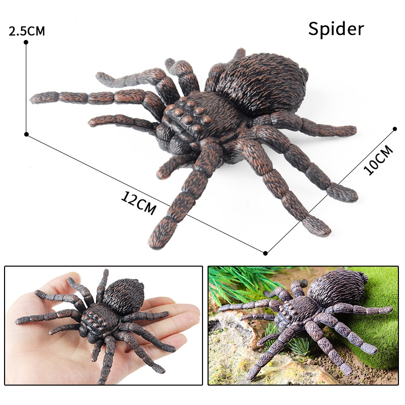 แมลงแมงป่องบินตัวต่อ monarch ผีเสื้อแมลงปอ stag ด้วงแมลงจําลองรุ่นเด็กวิทยาศาสตร์การศึกษาของเล่นความรู้ความเข้าใจสัตว์เครื่องประดับ - รูปที่ 5