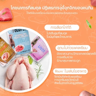 FOLOPETS อาหารสุนัข แบบเปียก ออร์แกนิก จากธรรมชาติ ขนาด 430 กรัม