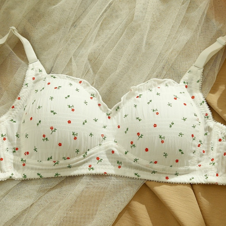 รูปภาพ 2