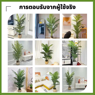 🌲ต้นไม้ปลอม🌲(ฟรี หินโรย กระถางดอกไม้) ต้นไม้ปลอมใหญ่ ต้นไทรใบสัก มอนสเตอร่า ฯลฯ สูง75-95ซม โต๊ะ มงคล พร้อมกระถางและหินสีขาว สำหรับตกแต่งบ้านและสวน