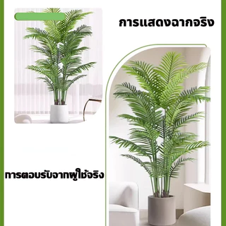 🌲ต้นไม้ปลอม🌲(ฟรี หินโรย กระถางดอกไม้) ต้นไม้ปลอมใหญ่ ต้นไทรใบสัก มอนสเตอร่า ฯลฯ สูง75-95ซม โต๊ะ มงคล พร้อมกระถางและหินสีขาว สำหรับตกแต่งบ้านและสวน