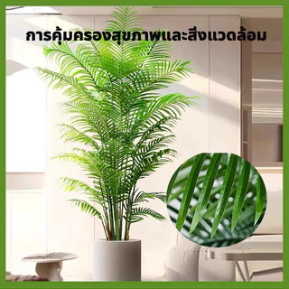 🌲ต้นไม้ปลอม🌲(ฟรี หินโรย กระถางดอกไม้) ต้นไม้ปลอมใหญ่ ต้นไทรใบสัก มอนสเตอร่า ฯลฯ สูง75-95ซม โต๊ะ มงคล พร้อมกระถางและหินสีขาว สำหรับตกแต่งบ้านและสวน