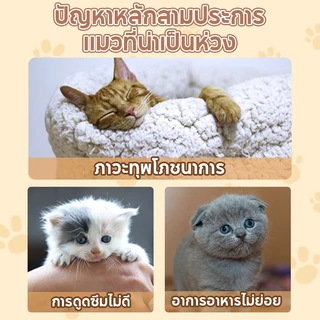 FOLOPETS ขนมแมว 16 กรัม อาหารเปียกแมว แมวโต โต ฝึกความอ้วน ให้รางวัล