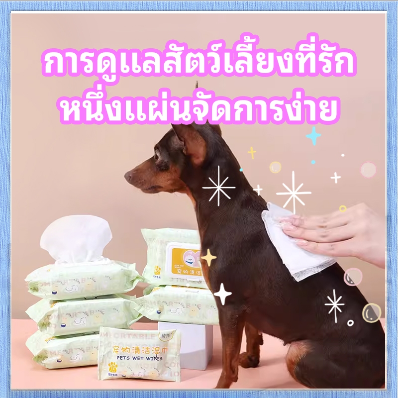 🐾【P&P】ทิชชู่เปียก Pet wipes 12 แผ่น ผ้าเช็ดตาและหูสัตว์เลี้ยง สำหรับเช็ดสัต ว์เลี้ยง ทิชชู่เปียก ทิชชู่หมา