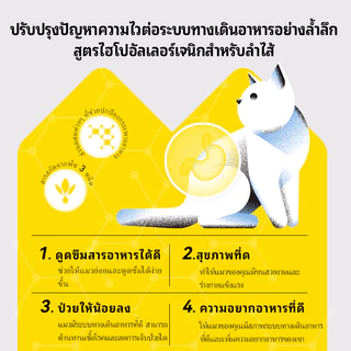 อาหารแมว LEMO 2kg สูตรปราศจากธัญพืช โปรตีนสูง เนื้อสัตว์ 92% สูตรไก่ เหมาะลูกแมวและแมวโต เสริมกล้ามเนื้อ ปรับสมดุลลำไส้6kg