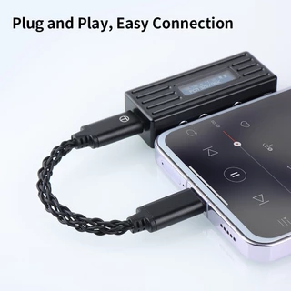 Trn TO Typr-C DAC Amp อัพเกรดสายเคเบิลสายเคเบิลสายเคเบิลที่แปดมาตรฐานฟังก์ชั่นไมโครโฟน