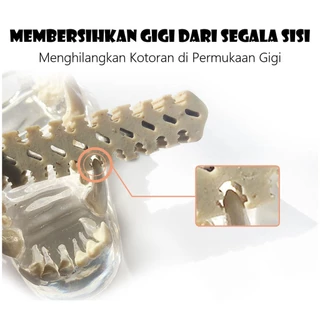 DentDoc ขนมขัดฟันสุนัข เดนทัลสติ๊ก/กระดูกขัดฟัน 1 ชิ้น 16 กรัม ช่วยทำความสะอาดฟัน ลดกลิ่นปาก เคี้ยวง่าย