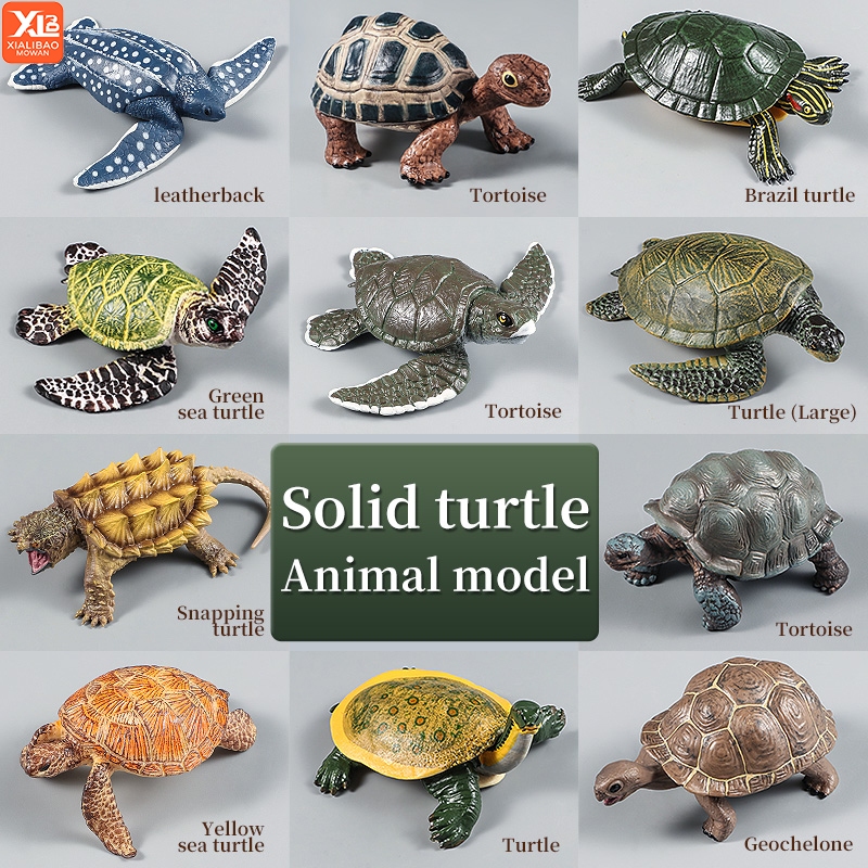 Ocean สัตว์ Leatherback เต่าจระเข้เต่าเต่า Sea Life รุ่น Figurines ตัวเลขการกระทํา PVC การศึกษาของเล่นเด็กของขวัญ