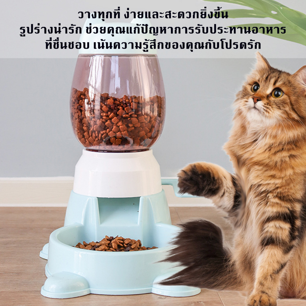 ชามข้าวแมว ชามอาหารแมว