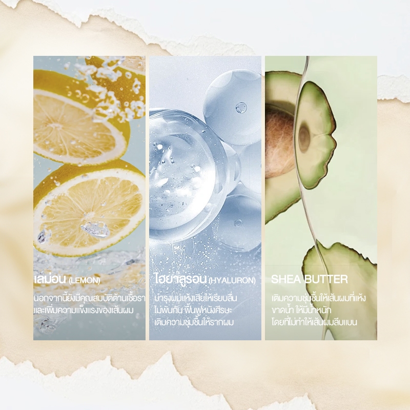 [สูตรอัพเกรด!]Cokki ครีมนวดลดความมัน จบปัญหาผมมัน คืนความสดชื่น Anti-Dandruff Conditioner 750G - รูปที่ 4