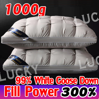 Buy 1 Take 1 Pillow Original Extra Large Hotel Pillow Super Fluffy Soft Family Pillow Antibacterial And Anti-Mite