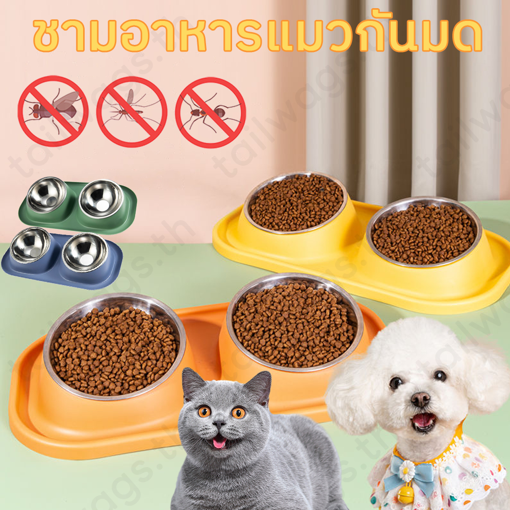 😻ชามอาหารแมวกันมด🐶 2 หลุม ชามกันมดมี ชามข้าวสัตว์เลี้ยง  4 สี กันมดขึ้นอาหารแมว  ถังด้านในสแตนเลสใช้