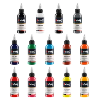 SOLONG 30ml หมึกสักถาวรหลากสีติดทนนาน Fast Coloring Tattoo Pigment อุปกรณ์สัก DIY