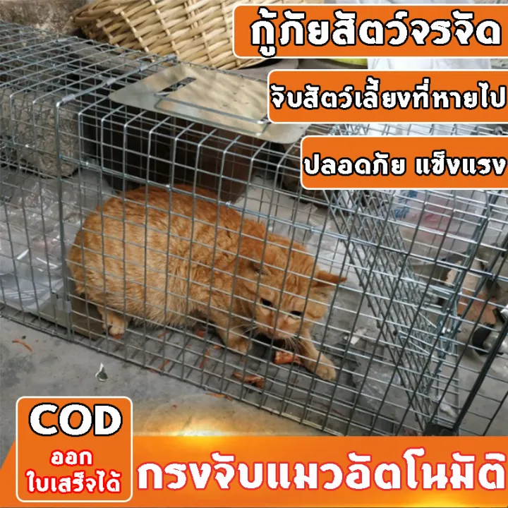 CatTrap กรงดักแมว XL เหล็กชุบกาวาไนท์กันสนิม พับได้ ดักแมวจรจัด ไล่แมวปลอดภัยต่อคนและสัตว์