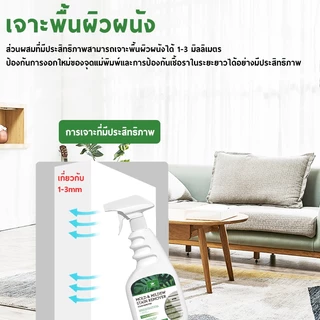 CROWN ยาทำความสะอาดกำจัดรา FUNGICIDE น้ำยากำจัดเชื้อรา สเปรย์ฆ่าเชื้อรา 500ml