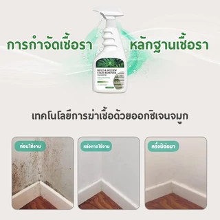 CROWN ยาทำความสะอาดกำจัดรา FUNGICIDE น้ำยากำจัดเชื้อรา สเปรย์ฆ่าเชื้อรา 500ml