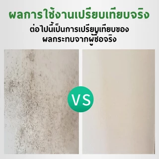 CROWN ยาทำความสะอาดกำจัดรา FUNGICIDE น้ำยากำจัดเชื้อรา สเปรย์ฆ่าเชื้อรา 500ml