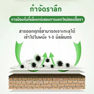 CROWN ยาทำความสะอาดกำจัดรา FUNGICIDE น้ำยากำจัดเชื้อรา สเปรย์ฆ่าเชื้อรา 500ml