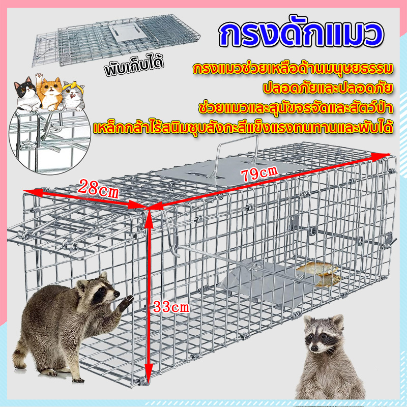 กับดักแมว กับดักแมว กับดักสัตว์ขนาดใหญ่ กับดักแมว กับดักแมวจรจัด ดักแมว