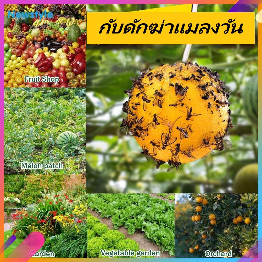 ที่ดักแมลงวัน Gnat Traps กาวดักแมลง Fly Catchers 8 ซมไล่แมลงวันทอง ลูกบอลดักแมลง ไล่แมลง มีกลิ่นล่อแมลง