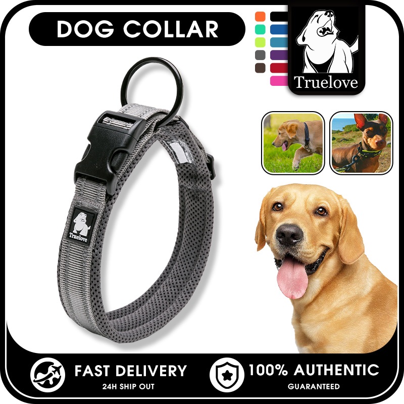 TRUELOVE ง่าย บน ปลอกคอสุนัขสัตว์เลี้ยง ไนลอน ปลอกคอปรับได้ สายจูงฝึกสุนัข สะท้อนแสง