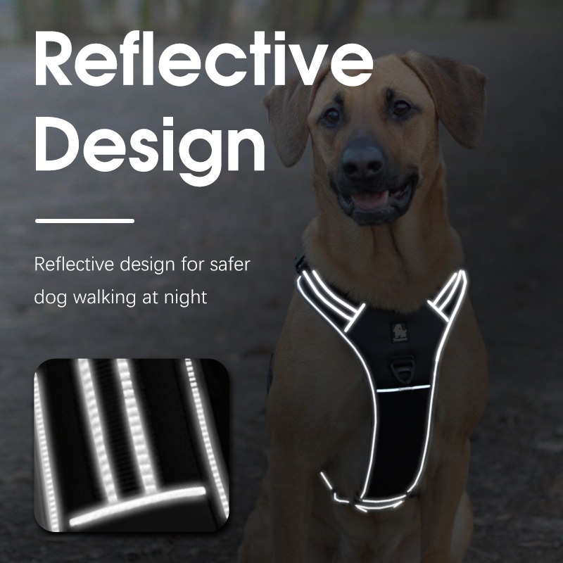 TRUELOVE กีฬาไนลอนสะท้อนแสงไม่มีดึงสายรัดสุนัขผจญภัยกลางแจ้งเสื้อกั๊กสัตว์เลี้ยง - รูปที่ 6