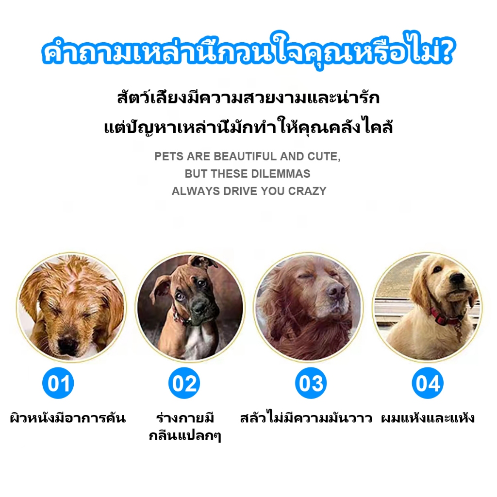 Xstore แชมพูสัตว์เลี้ยง เจลอาบน้ำสัตว์เลี้ยง บรรเทาอาการคันและป้องกันผมร่วงในสัตว์เลี้ยง - รูปที่ 4