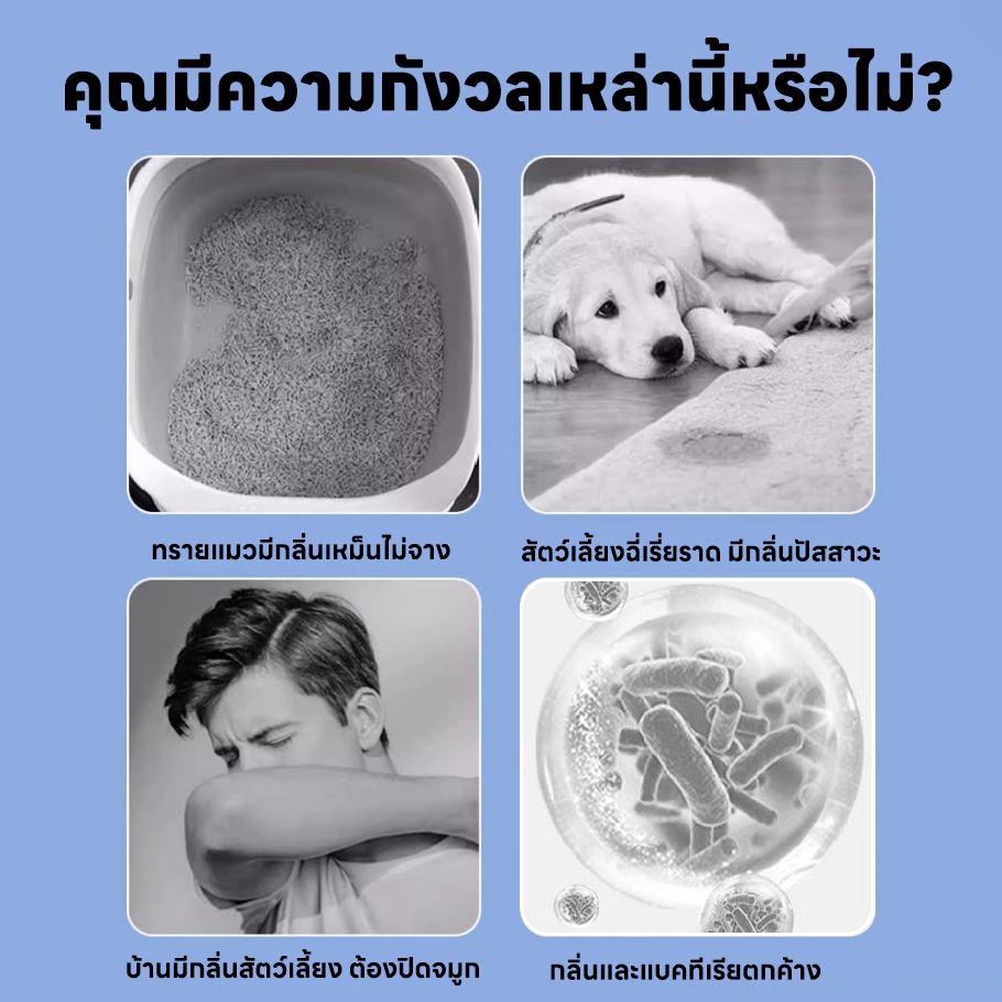 รูปภาพ 3