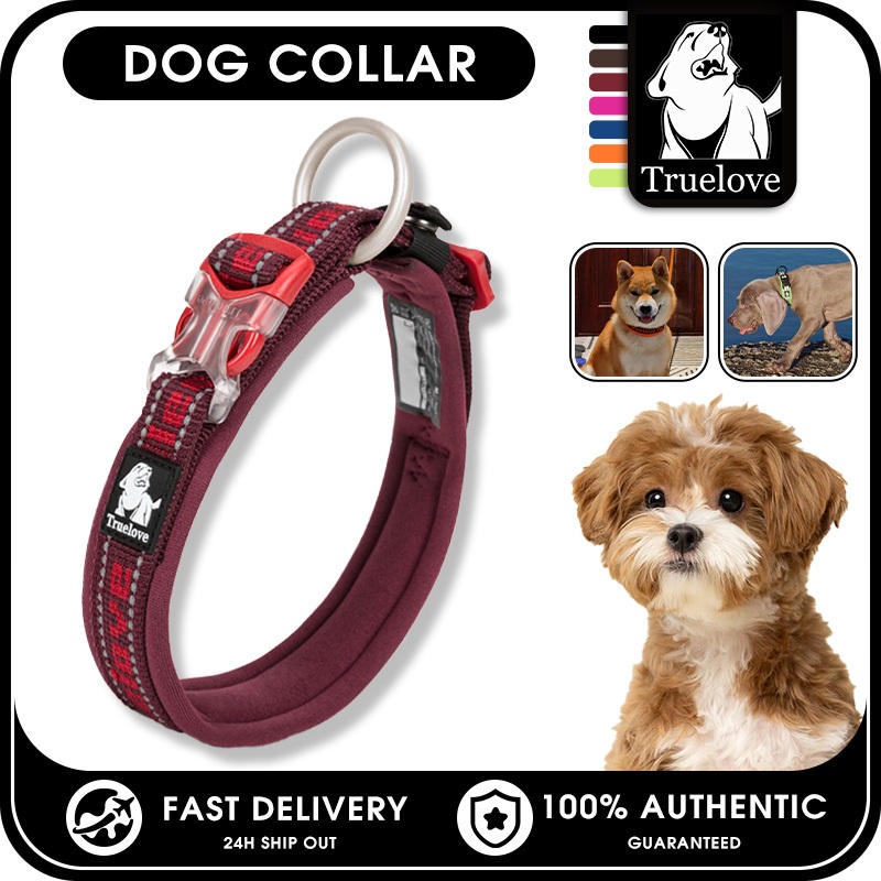 TRUELOVE ปลอกคอฝึกสุนัขสําหรับสัตว์เลี้ยง ปลอกคอไนลอน Martingale สร้อยคอแบบปรับได้สําหรับฝึกซ้อม