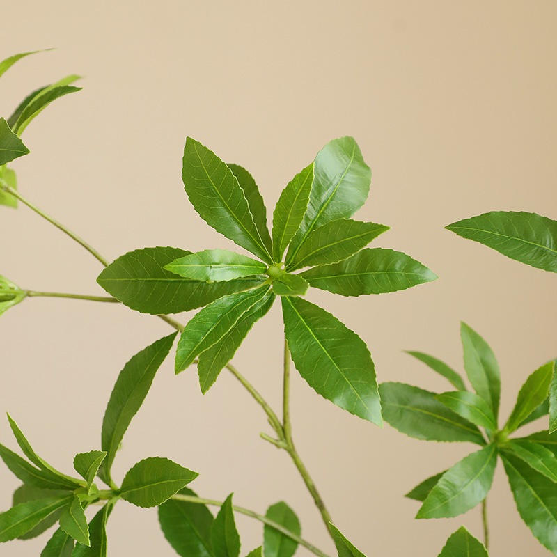 จําลองการปลูกสีเขียวนาฬิกาญี่ปุ่นสาขาของ มากุจิ โมริ สไตล์บ้านโต๊ะรับประทานอาหารตกแต่งของเครื่องประดับปลูกสีเขียวจําลองของ มากุจิ - รูปที่ 3