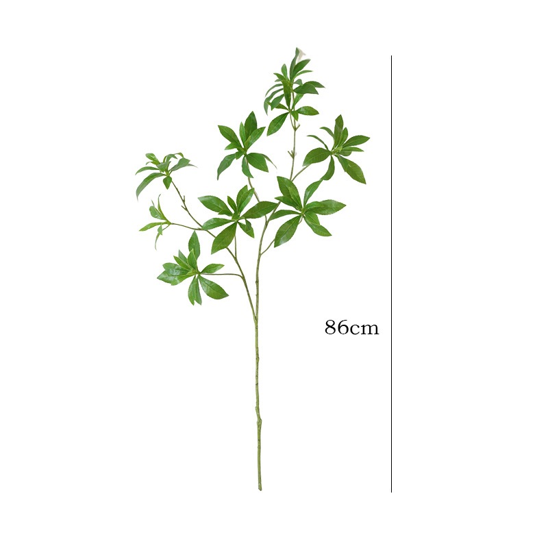 จําลองการปลูกสีเขียวนาฬิกาญี่ปุ่นสาขาของ มากุจิ โมริ สไตล์บ้านโต๊ะรับประทานอาหารตกแต่งของเครื่องประดับปลูกสีเขียวจําลองของ มากุจิ - รูปที่ 4