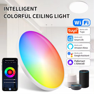 สมาร์ท WiFi LED โคมไฟเพดาน Tuya APP 220V RGB CW หรี่แสงได้โคมไฟเพดานกลมทํางานร่วมกับตกแต่งห้อง